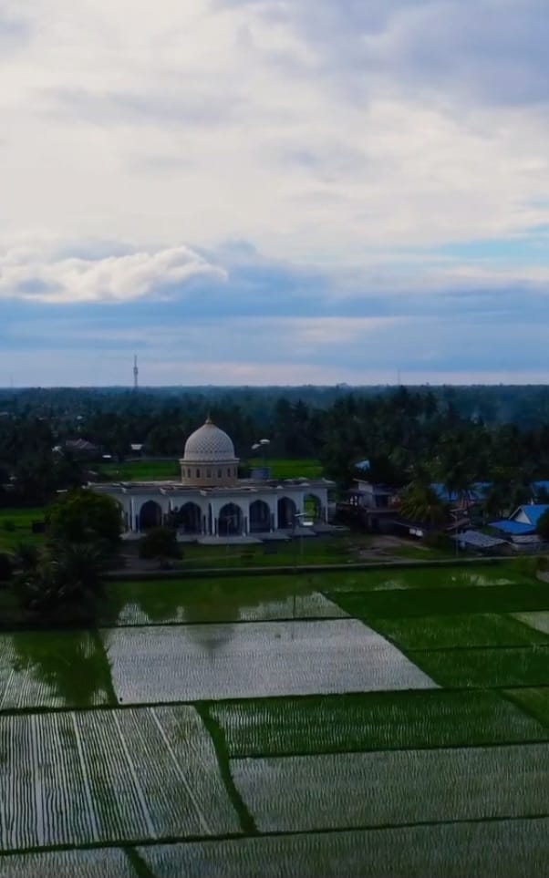 Desa Pante Gajah memiliki persawahan yang luas. Sawah ini menjadi sumber utama penghasilan 